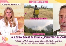 Un investigador del CSIC habla sobre los incendios en España dejando en entredicho el papel de los bomberos