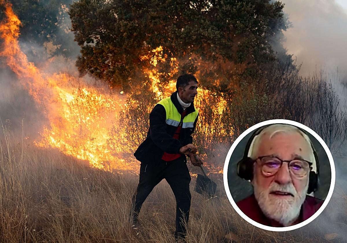 Un catedrático en ecología alerta de lo que llega a España tras ser preguntado por los incendios que arrasan al país