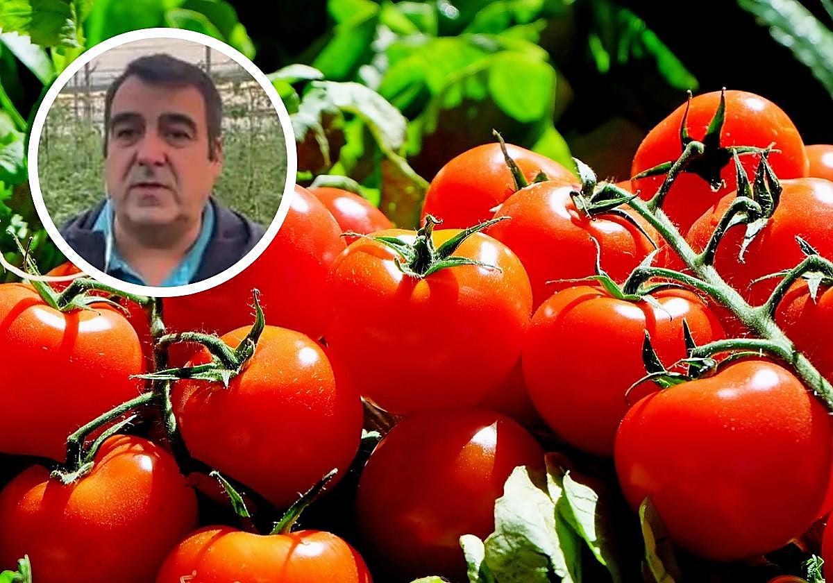 Un agricultor español explota contra el acuerdo entre la UE y Marruecos que afecta a productos nacionales como el tomate