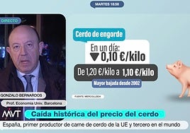 Gonzalo Bernardos, economista, sobre cómo la gripe porcina está afectando al precio del jamón: «Aprovechemos  que se están planificando las compras de Navidad»