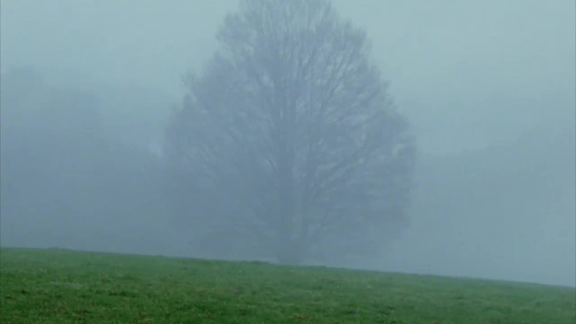 &#039;Desconocidos&#039;, el músico Mauricio Aznar y la lucha contra &#039;La Manada&#039;, en cines