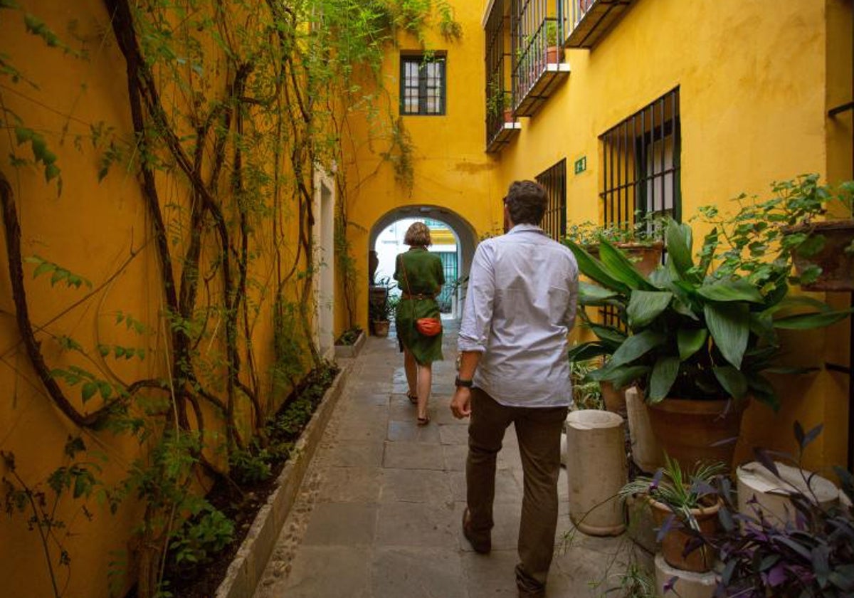 Recorre Sevilla con estos tours gratuitos