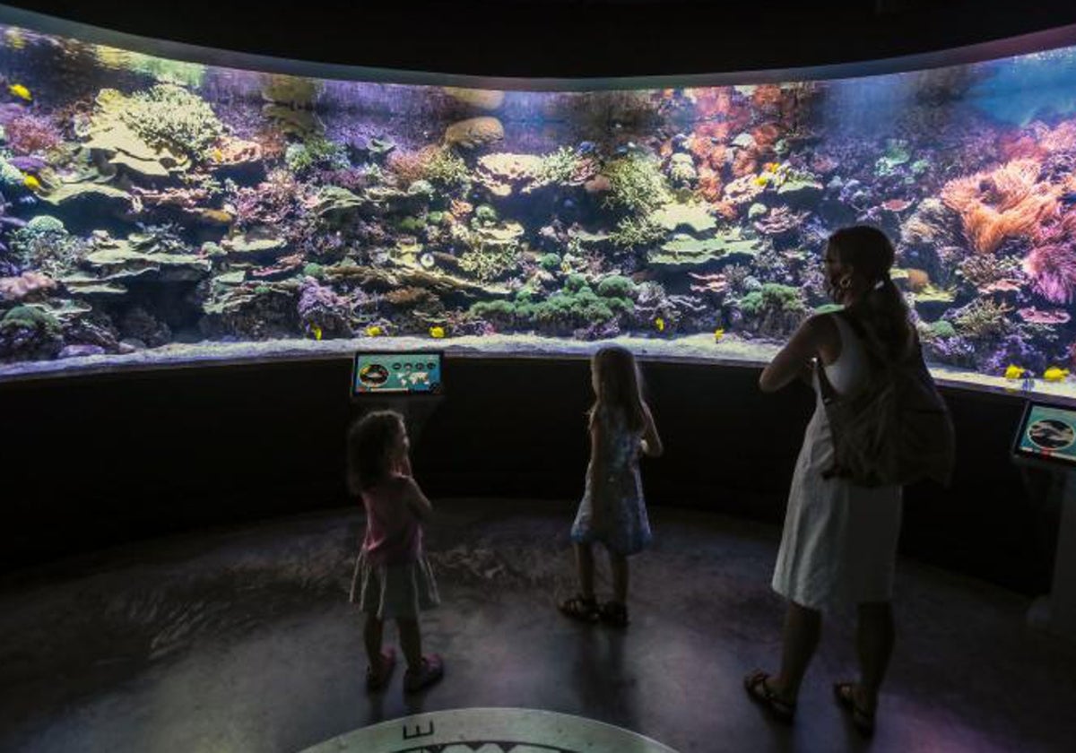 Visita al acuario de Sevilla