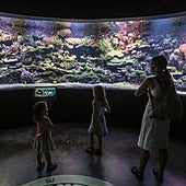 10 planes que hacer con niños en Sevilla en 2023