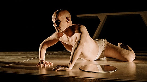 'El alimento de las moscas'