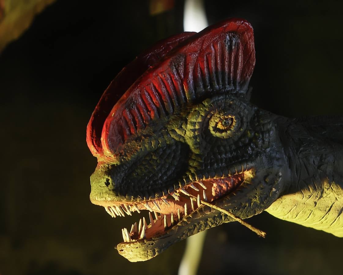 Las figuras a tamaño real y con gran realismo hacen al visitante adentrarse en el mundo de los dinosaurios