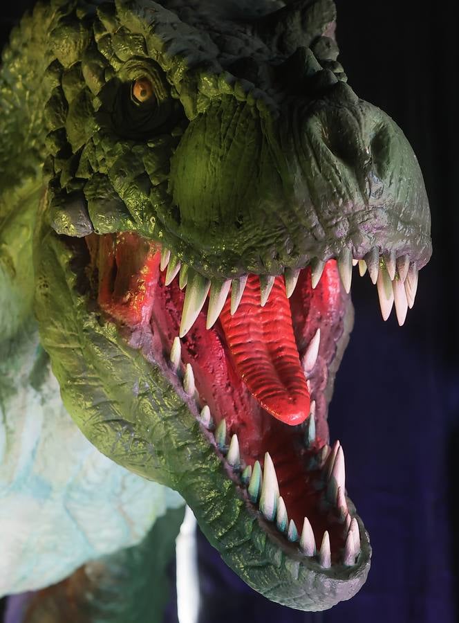 Las figuras a tamaño real y con gran realismo hacen al visitante adentrarse en el mundo de los dinosaurios