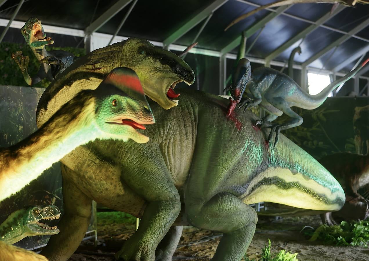 Las figuras a tamaño real y con gran realismo hacen al visitante adentrarse en el mundo de los dinosaurios