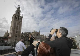 Una mirada diferente y al detalle de la Giralda de Sevilla