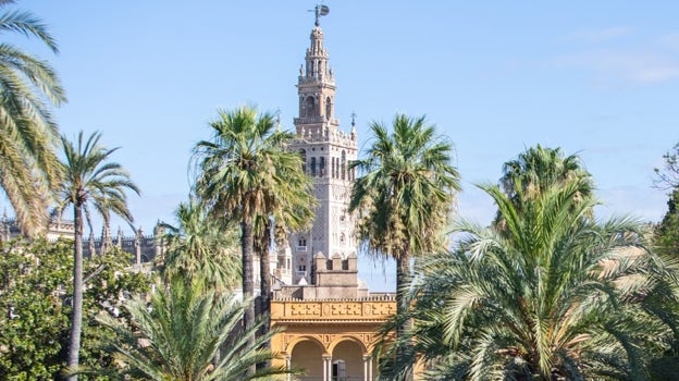 Las vistas de los jardines del Alcázar y la Giralda desde lo alto de la galería del Grutesco