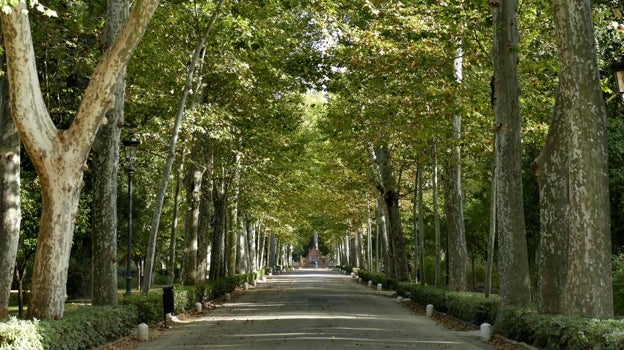 Uno de los senderos del Parque de María Luisa