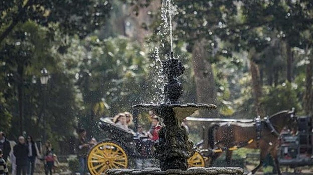 Estanque de los Lotos del Parque de María Luisa de Sevilla