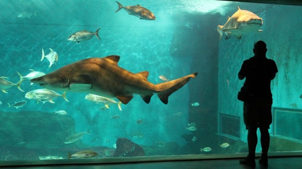 Acuario de Sevilla