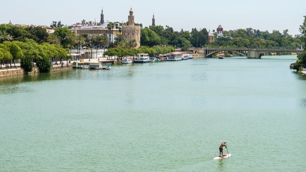 Una persona practica paddle surf en el Guadalquivir