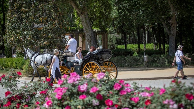 Parque María Luisa