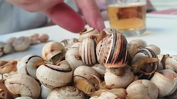 Qué hacer en junio en Sevilla