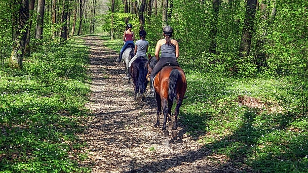 Ruta a caballo por el campo