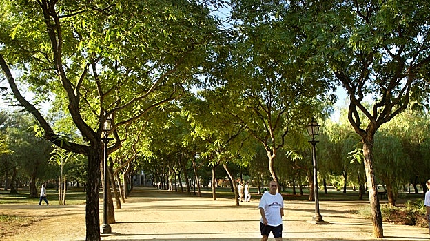 Caminos del parque Amate
