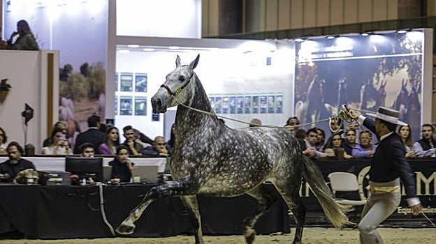 Edición de 2022 de Sicab