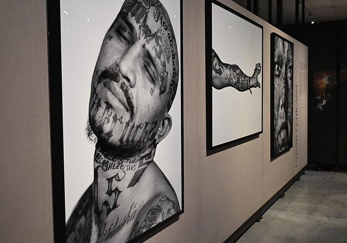 La exposición 'Tattoo. Arte bajo la piel' aterriza en CaixaForum Sevilla