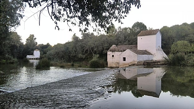 La ribera del río Guadaíra es el escenario de una interesante ruta que se adentrará en la historia de los molinos de Alcalá