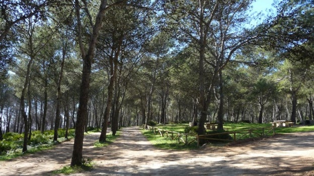 La Sierra de San Pablo, en Montellano, ofrece muchas alternativas para practicar senderismo