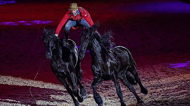 Espectáculo ecuestre en el Salón Internacional del Caballo de Pura Raza Española
