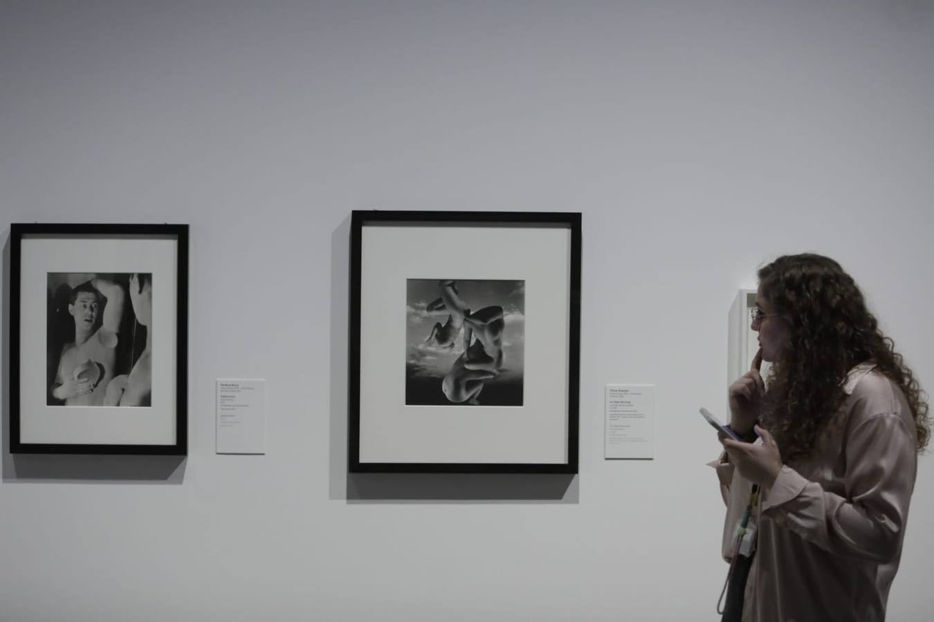 La exposición se puede visitar en Sevilla hasta finales de marzo de 2024