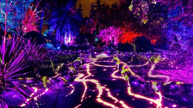 Un jardín iluminado