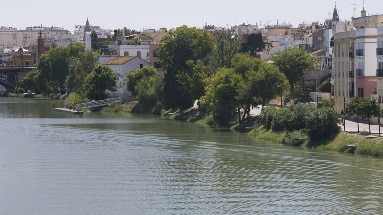 Imagen de archivo del Paseo de la O, en el barrio de Triana