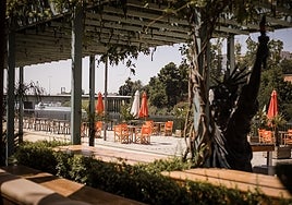 Cinco planes al aire libre en Sevilla para disfrutar el buen tiempo en pleno invierno