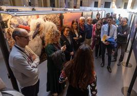 El Museo Casa de la Ciencia de Sevilla estrena dos exposiciones sobre biodiversidad y plásticos