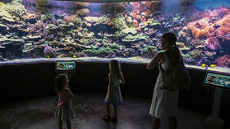 Familia visitando el Acuario de Sevilla