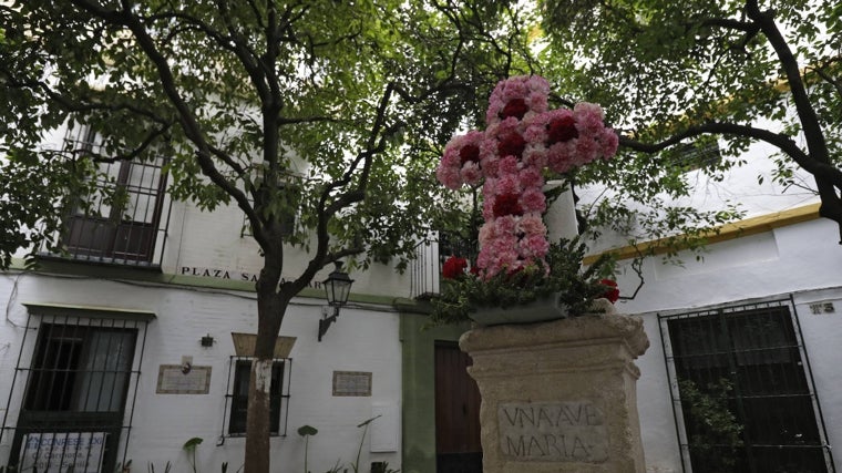 Cruz de la Plaza de Santa Marta