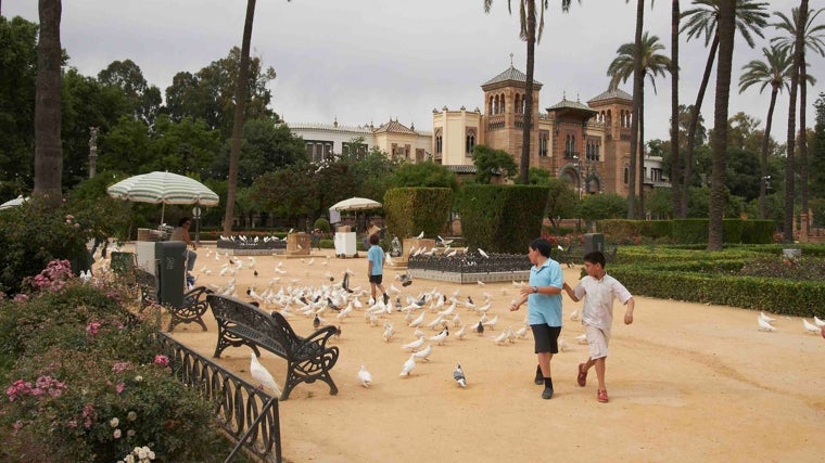 Niños jugando en el Parque de Las Palomas