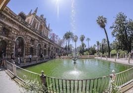 El Alcázar vuelve a ofrecer visitas guiadas y gratuitas para residentes en Sevilla