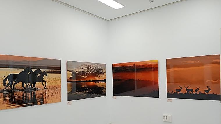 Parte de la exposición fotográfica de Doñana del fotógrafo José María Pérez de Ayala