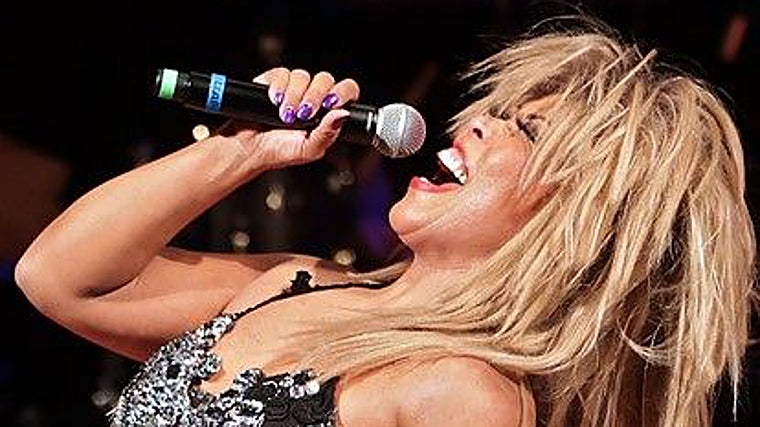 Homenaje a Tina Turner