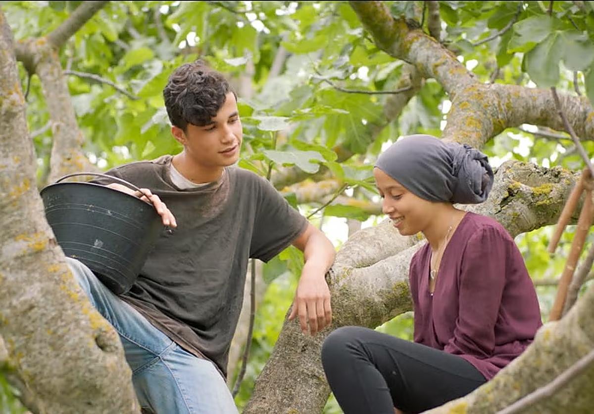 Qué hacer hoy, domingo 28 de julio de 2024