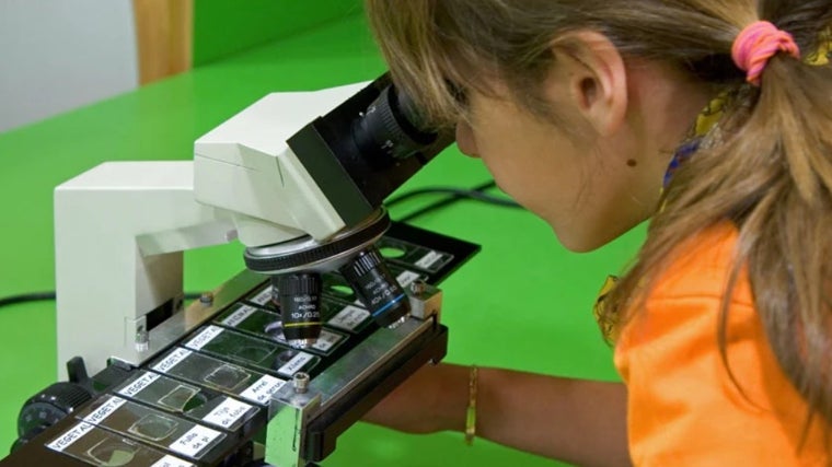 En las instalaciones del Caixaforum de Sevilla se celebran todos los meses numerosos talleres relacionados con la ciencia