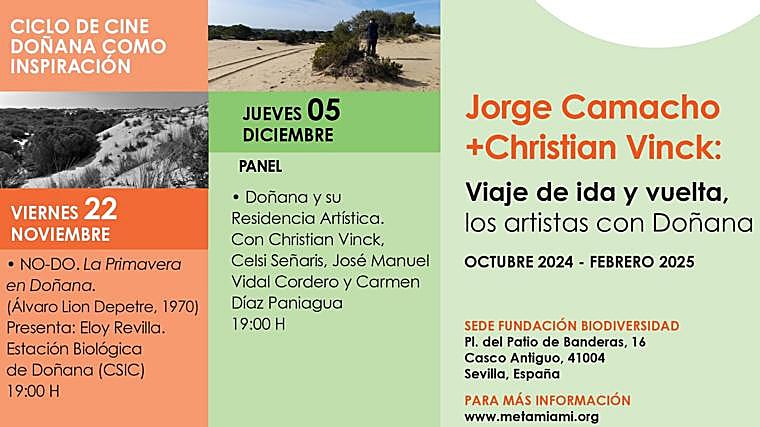 Qué hacer en Sevilla hoy, viernes 22 de noviembre de 2024