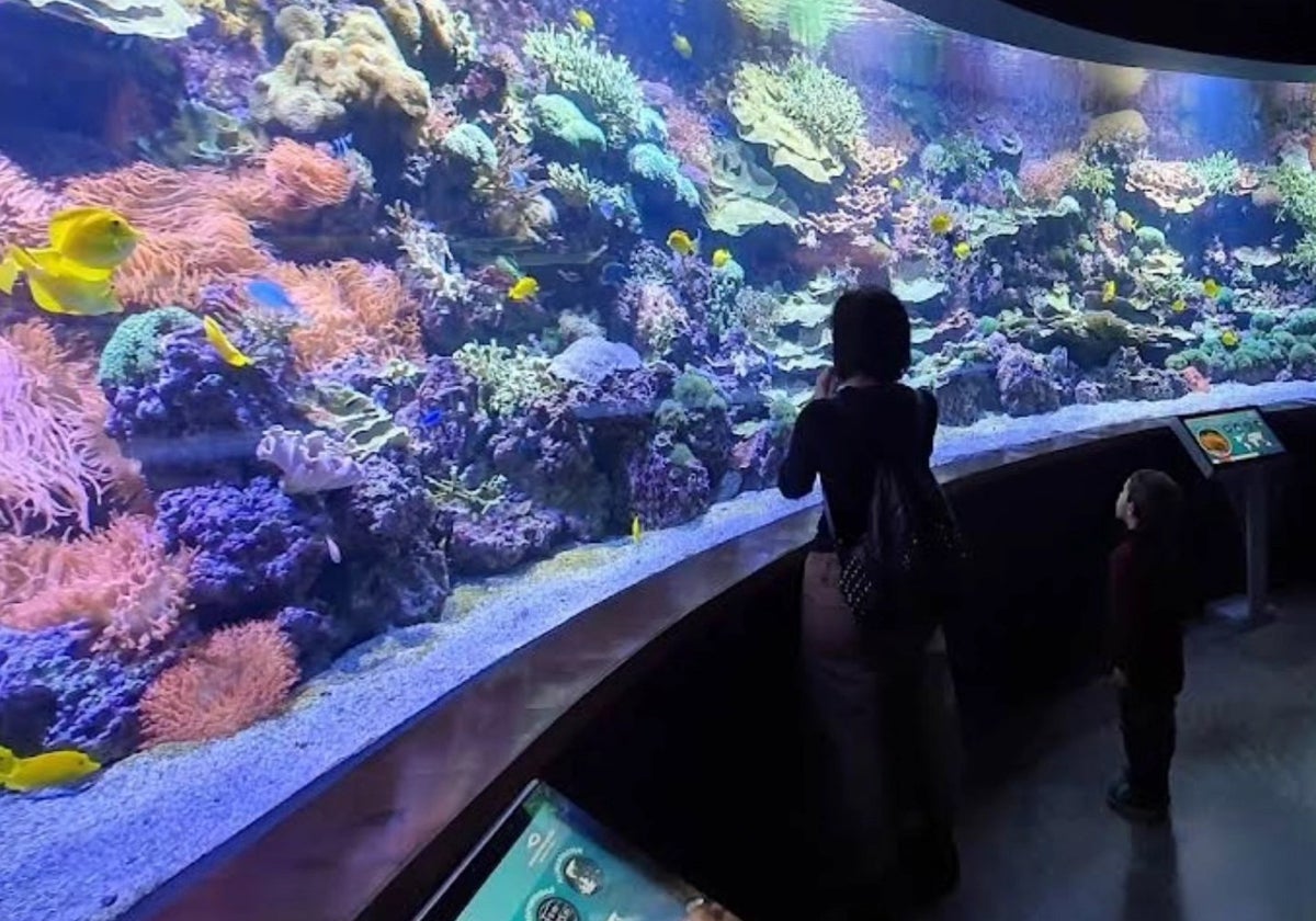 Imagen de una de las salas del Acuario de Sevilla