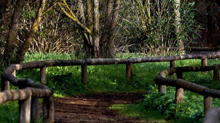 En este enclave se pueden realizar numerosas actividades que hacen las delicias de los amantes de la naturaleza