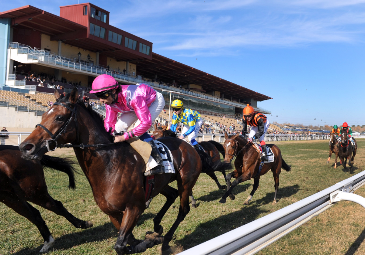 Las carreras de caballos volverán a protagonizar uno de los planes más apetecibles de esta semana