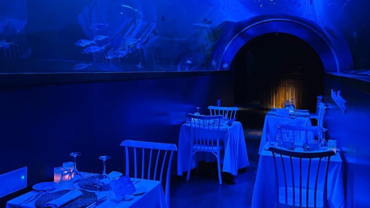 Cenas entreMares en el Acuario de Sevilla