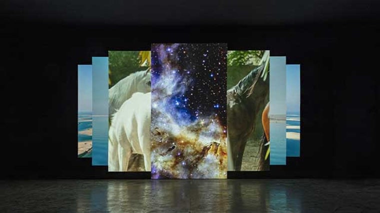 'Arenas movedizas', la exposición de Amie Siegel en el CAAC