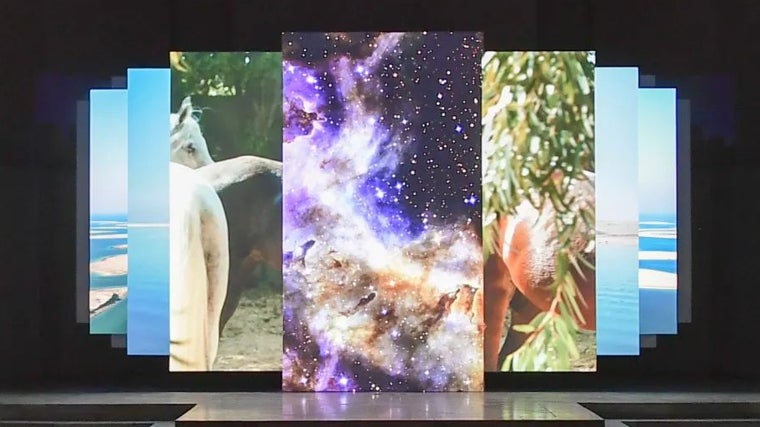 Muestra de la exposición
