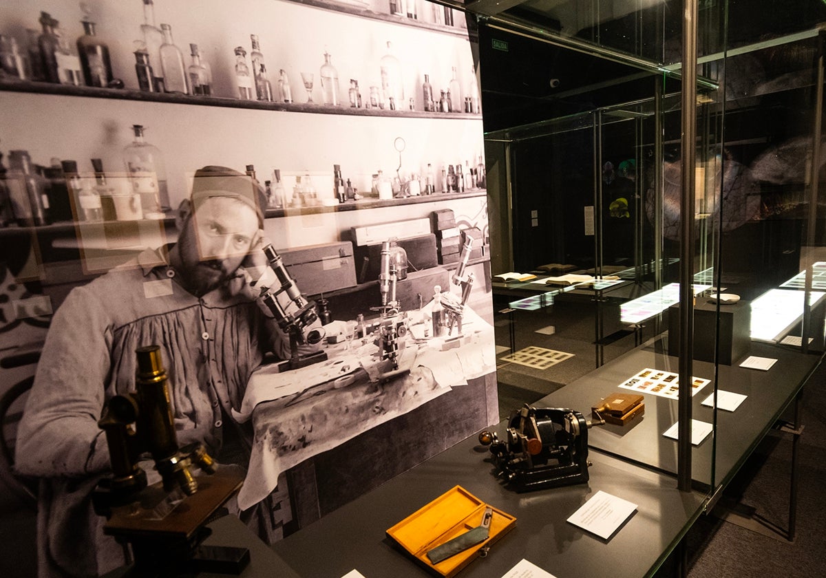 Las instalaciones de la Casa de la Ciencia de Sevilla acogen una nueva e interesante exposición