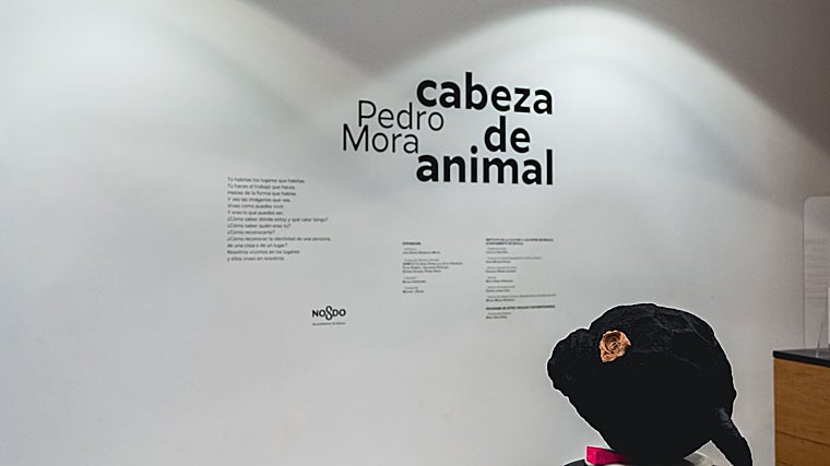 Muestra de la exposición