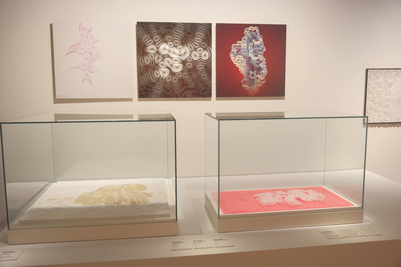 La muestra 'Arte y Naturaleza' permanecerá abierta hasta el 7 de septiembre en Sevilla